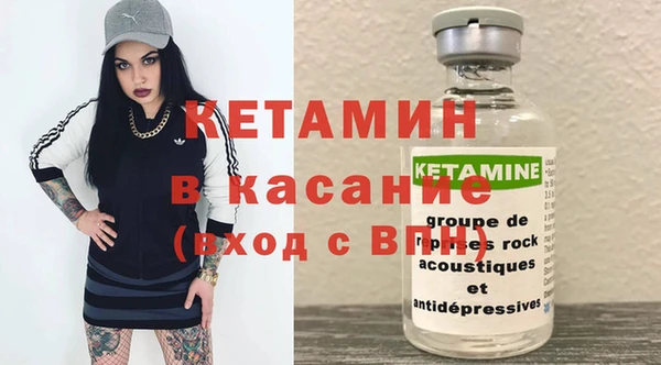 крисы Алексин