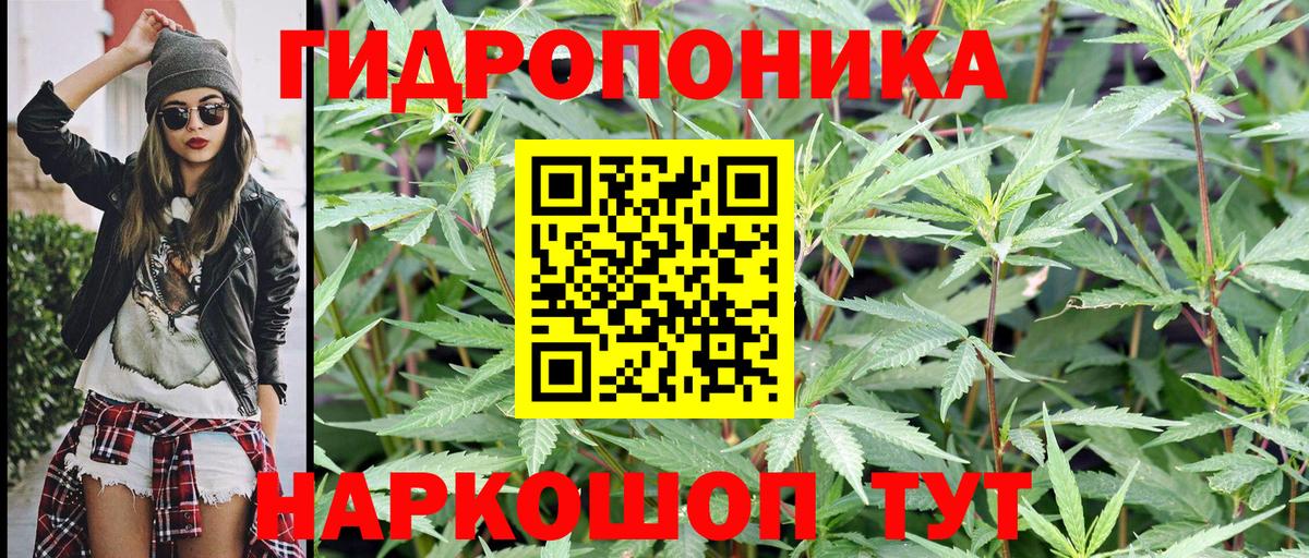 Бошки марихуана VHQ Моздок